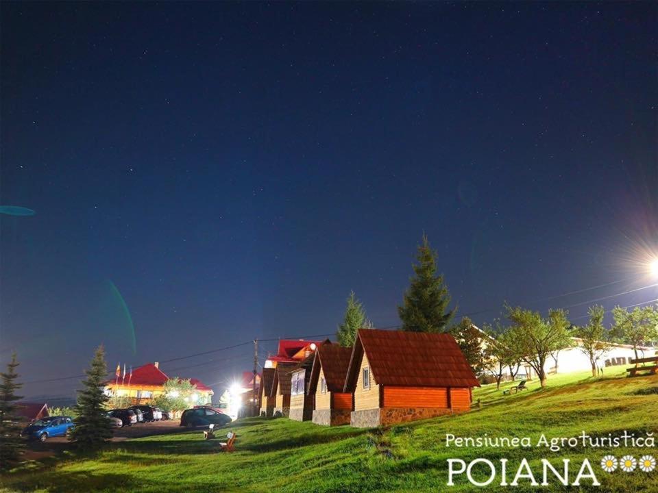 Pensiunea Agroturistica Poiana Poiana Negrii Kültér fotó