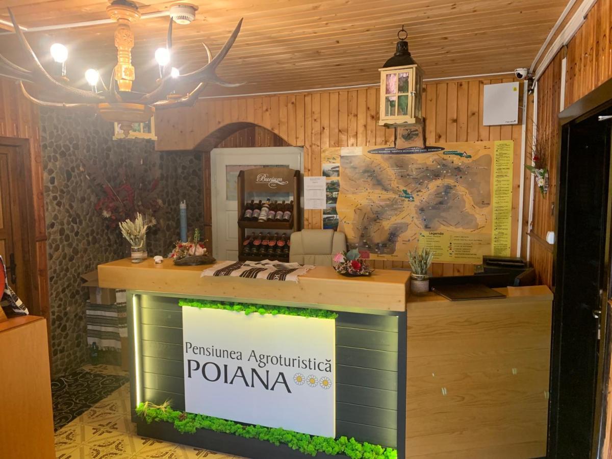 Pensiunea Agroturistica Poiana Poiana Negrii Kültér fotó